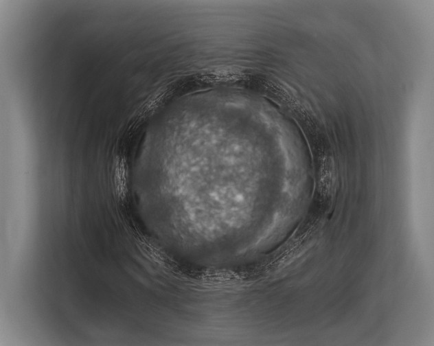 X0000113780866200909231313