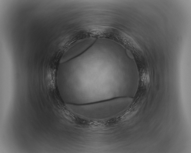 X0000113780868200909231313