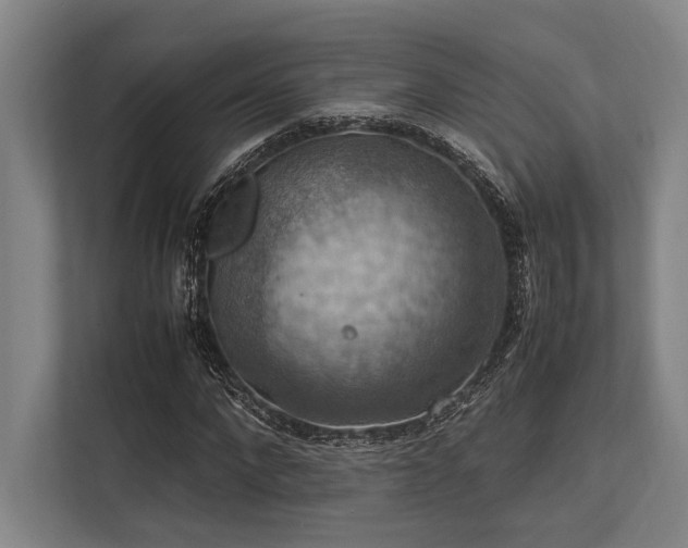 X0000113780872200909231313