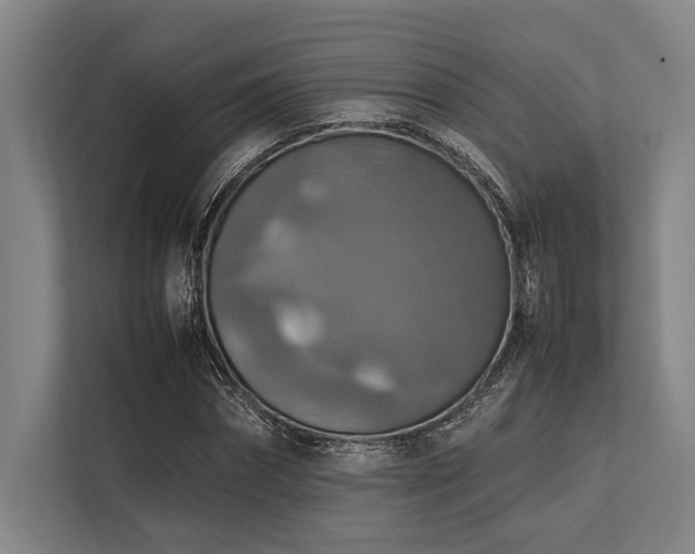 X0000113780874200909231313