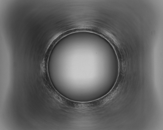 X0000113780875200909231313