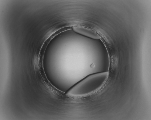 X0000113780876200909231313