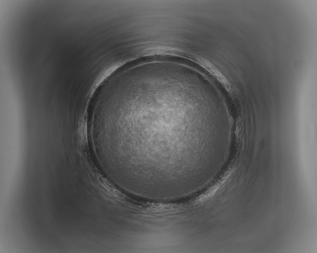 X0000113780877200909231313