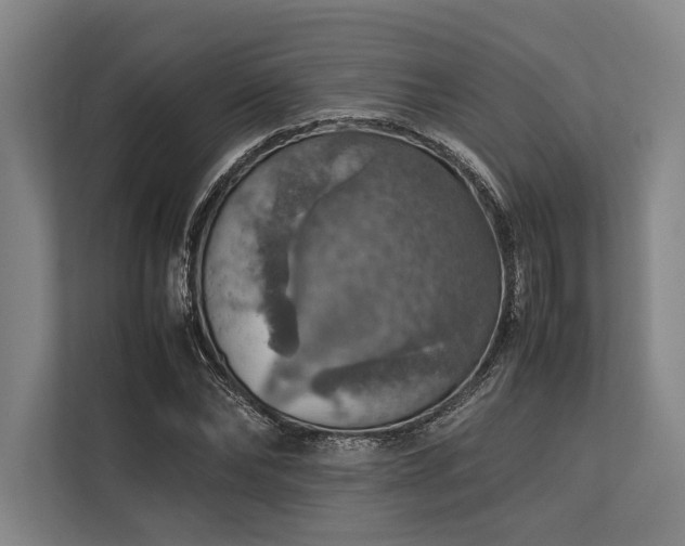 X0000113780878200909231313