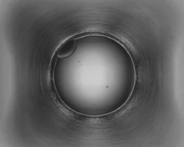 X0000113780880200909231313