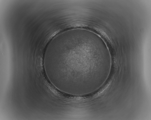 X0000113780881200909231313