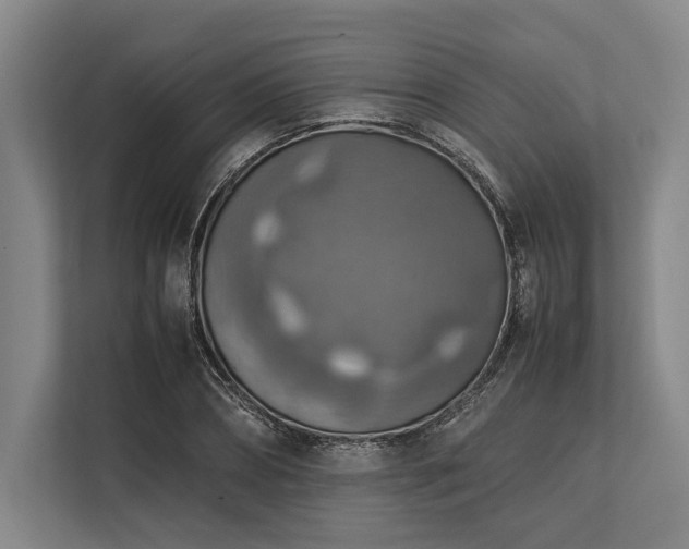X0000113780882200909231313