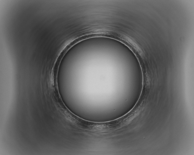 X0000113780883200909231313