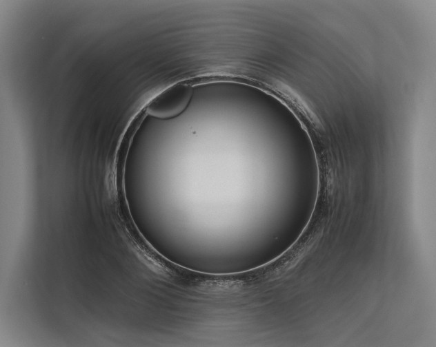 X0000113780884200909231313