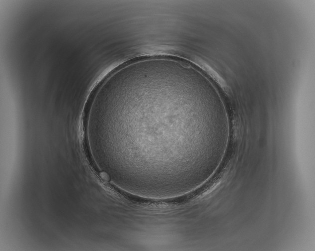 X0000113780885200909231313