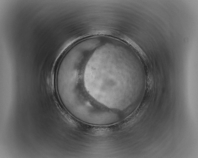 X0000113780886200909231313
