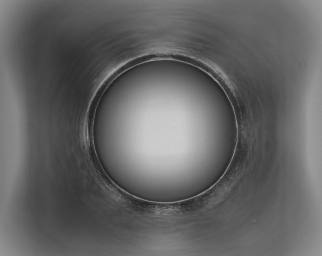 X0000113780887200909231313