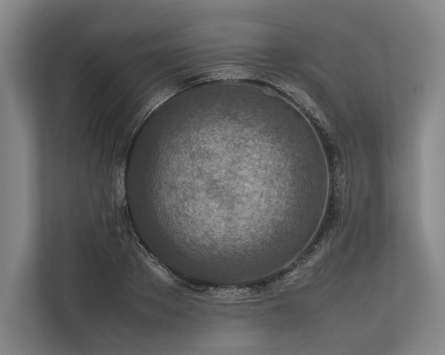 X0000113780889200909231313