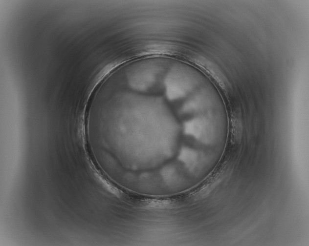 X0000113780890200909231313