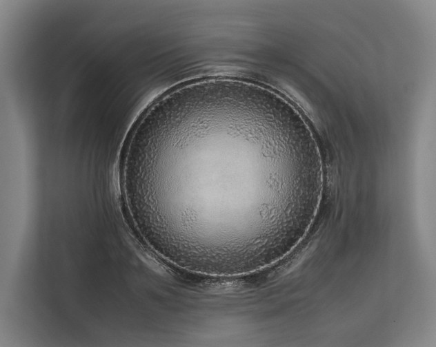 X0000113780891200909231313