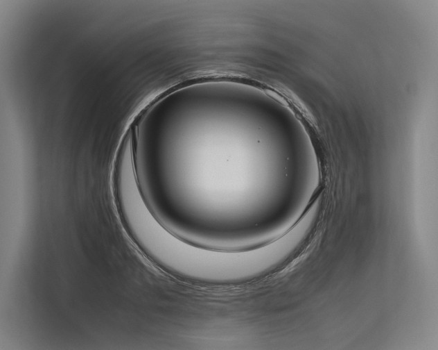 X0000113780893200909231313