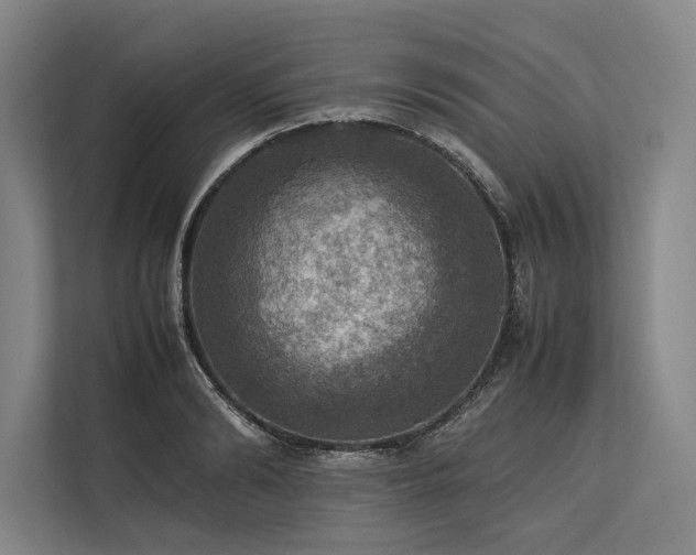 X0000113780894200909231313