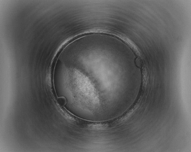 X0000113780896200909231313