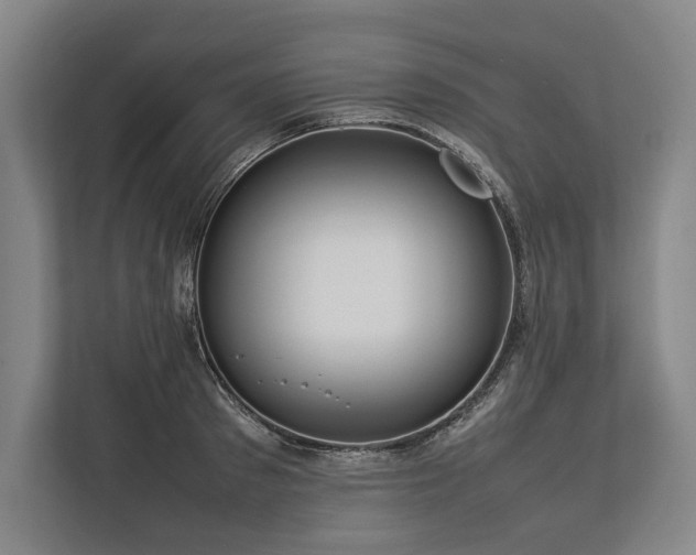 X0000113780897200909231313
