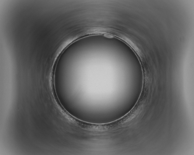 X0000113780901200909231313