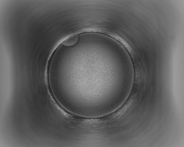 X0000113780902200909231313