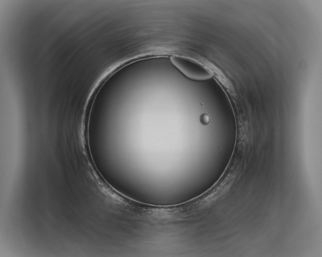 X0000113780904200909231313