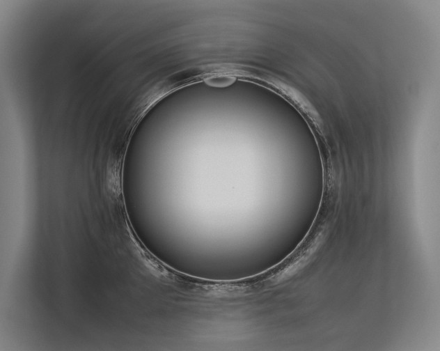 X0000113780905200909231313