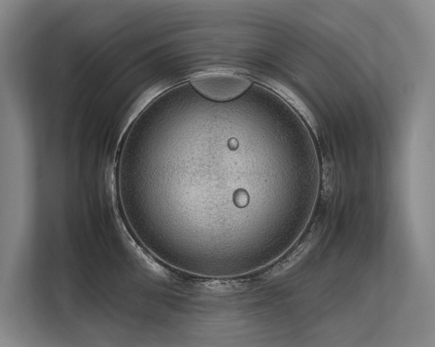 X0000113780906200909231313