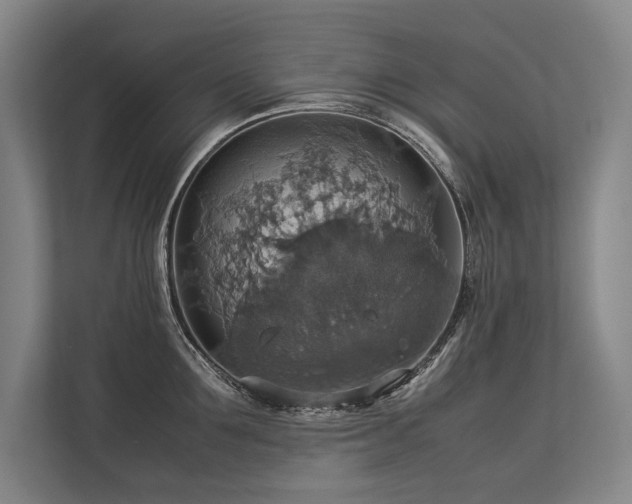 X0000113780907200909231313