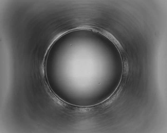 X0000113780908200909231313