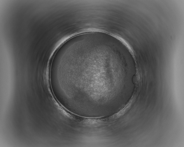 X0000113780910200909231313
