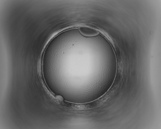 X0000113780911200909231313