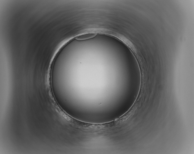 X0000113780912200909231313