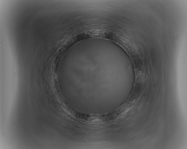 X0000113780913200909231312