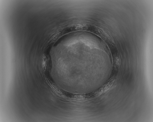X0000113780914200909231312