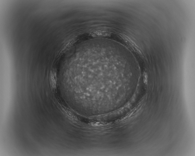 X0000113780915200909231312