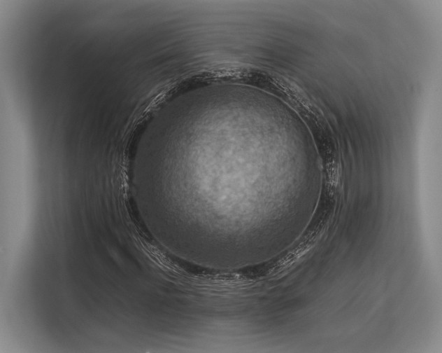X0000113780916200909231312