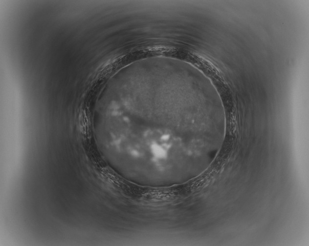 X0000113780917200909231312