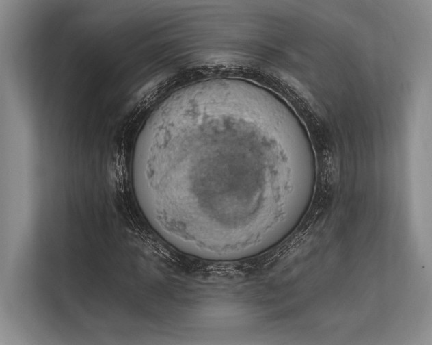 X0000113780918200909231312