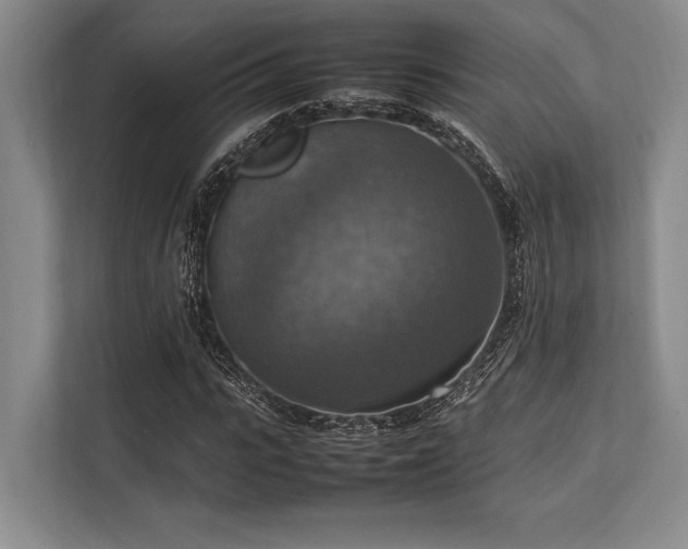 X0000113780919200909231312