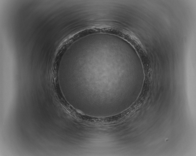 X0000113780920200909231312