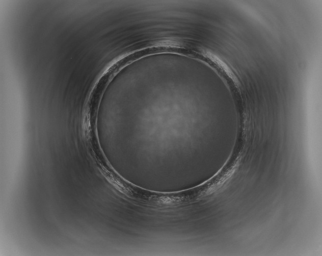 X0000113780923200909231312