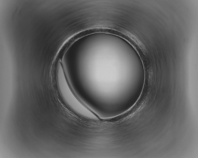 X0000113780926200909231312