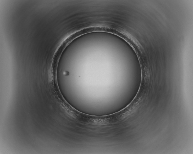 X0000113780927200909231312