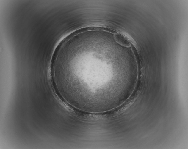 X0000113780928200909231312