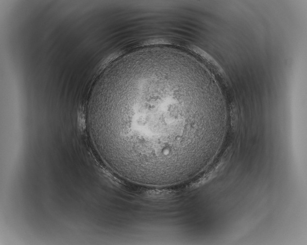 X0000113780929200909231312