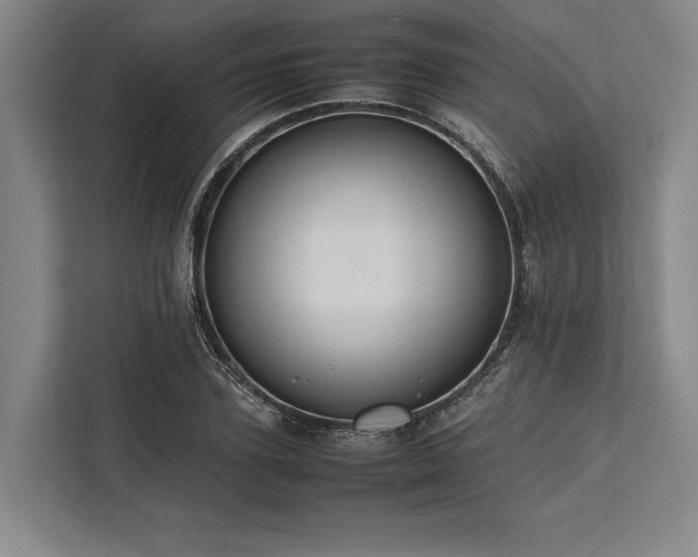 X0000113780931200909231312