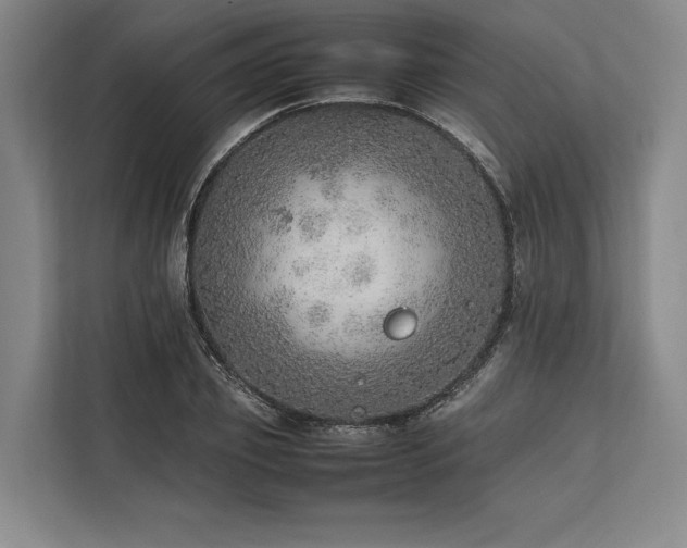 X0000113780933200909231312