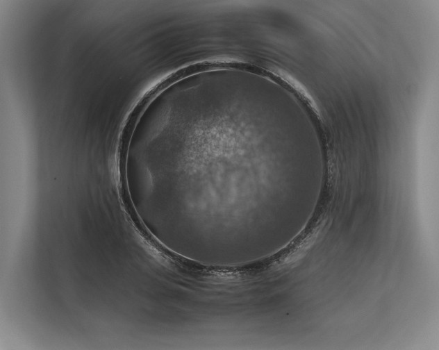 X0000113780935200909231312