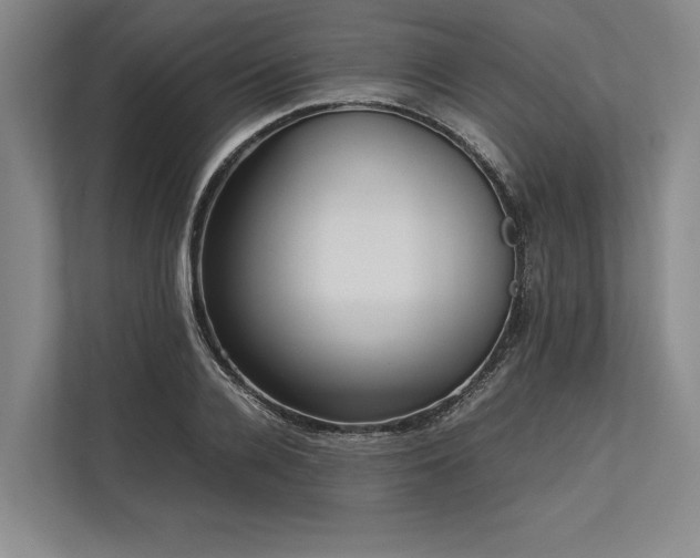 X0000113780936200909231312